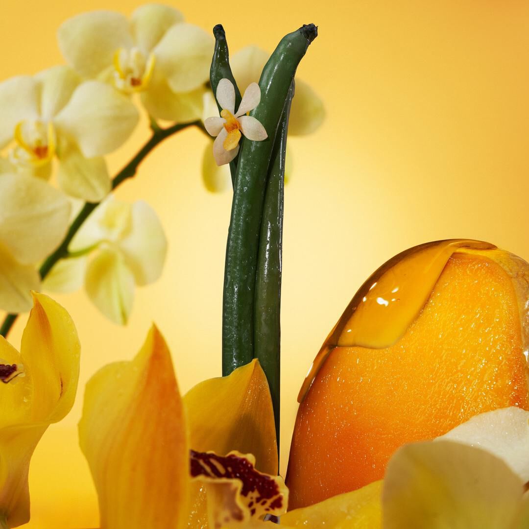 Parfum - CALVIN KLEIN - Euphoria New Collection Solar Elixir - Imagem 5