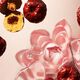 The Ritual of Jing Parfum d'Interieur - Rituals - Jing - Imagem 2