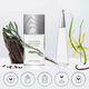Eau de Parfum Intense - ISSEY MIYAKE - L'EAU D'ISSEY - Imagem 3