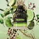 Uomo Green Stravaganza Eau de Toilette - Valentino - BORN IN ROMA UOMO - Imagem 8