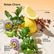 Happy in Paradise™ - CLINIQUE - HAPPY - Imagem 3