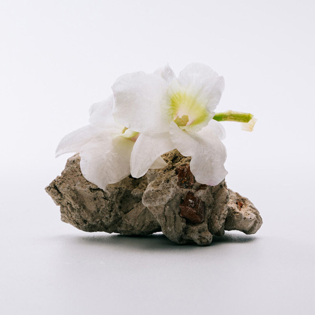 Eau de Toilette - LOEWE - LOEWE A MI AIRE - Imagem 4