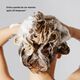 Color Security Shampoo - COLOR WOW -  - Imagem 5