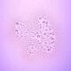 Spray Fixante Multitalento Prime And Fine - CATRICE -  - Imagem 4