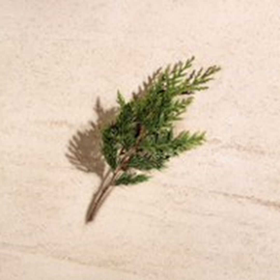 Eau de Toilette - BOTTEGA VENETA - BN ILLUSIONE /H - Imagem 5