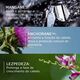 Ducray Neoptide Expert Sérum Antiqueda & Crescimento 2x50ml - DUCRAY -  - Imagem 2