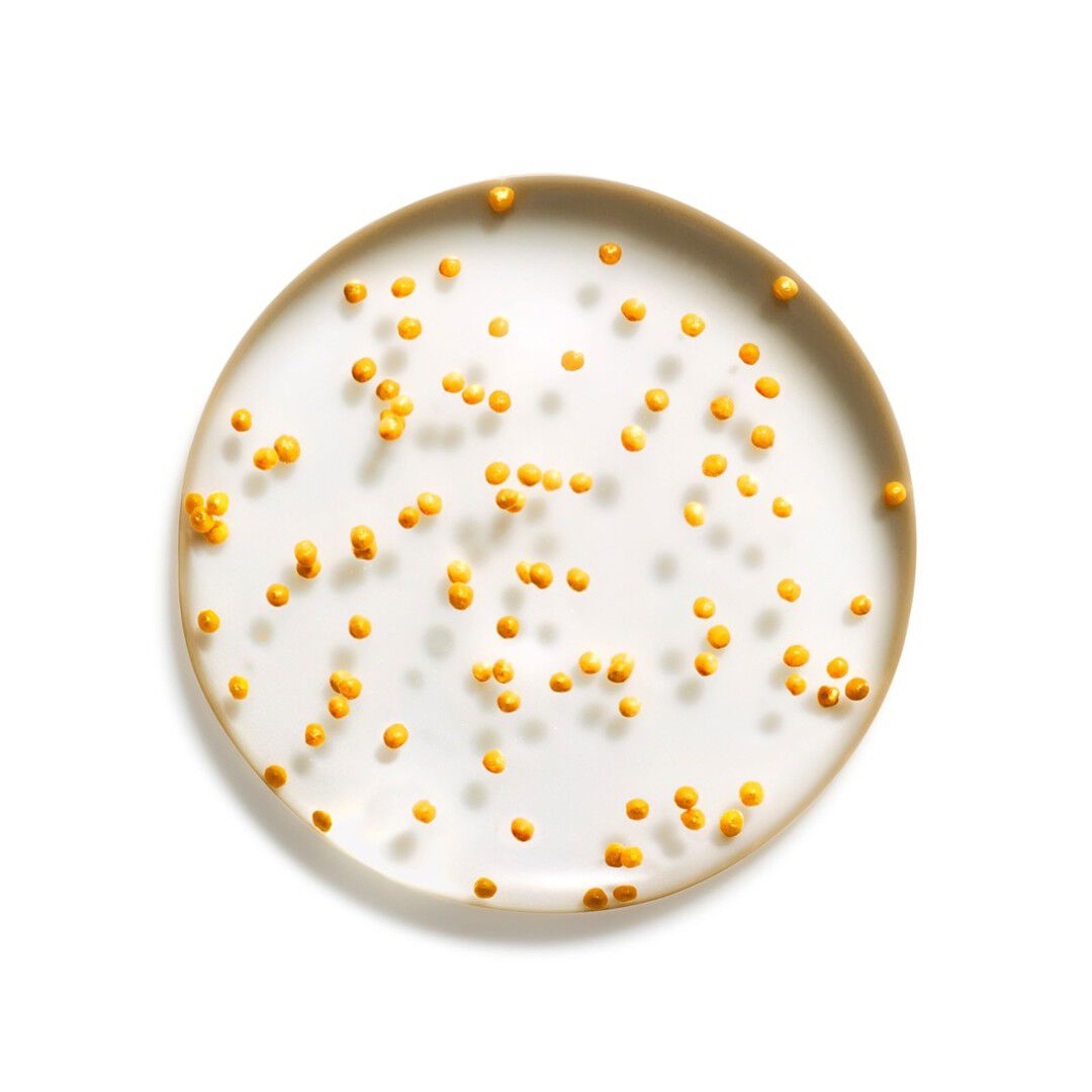 Miracle Pure Serum - Max Factor -  - Imagem 3