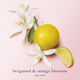 Le Parfum - Giorgio Armani - My Way - Imagem 10