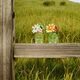 Eau de Parfum - MARC JACOBS - WILD EAU SO INTENSE - Imagem 8