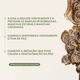 DR. ANDREW WEIL FOR ORIGINS&trade; Dark Spot Corrector Serum - ORIGINS - Mega-Mushroom - Imagem 3