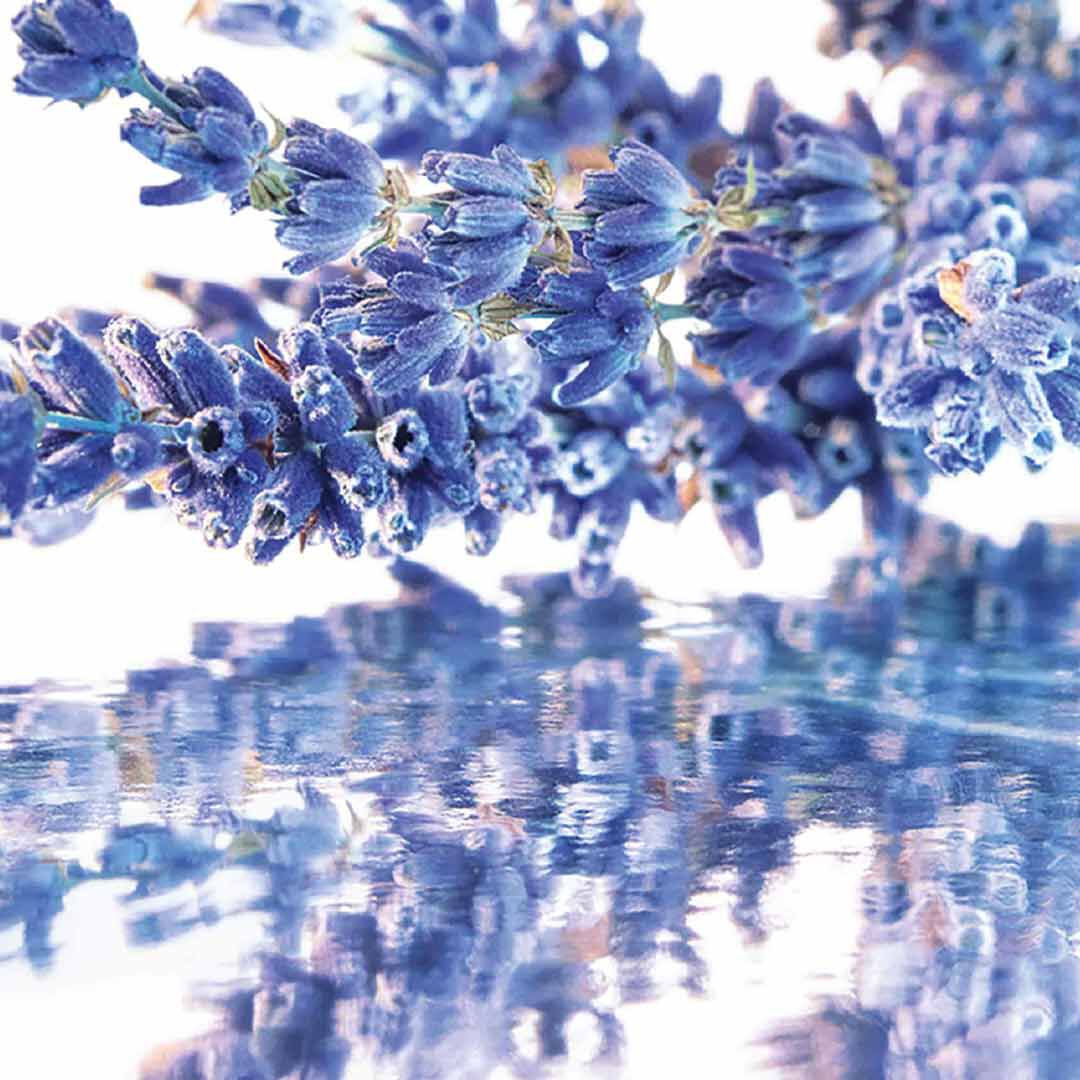 Coffret Eau de Parfum - GUERLAIN - MON GUERLAIN - Imagem 3