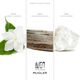 Eau de Parfum Recarregável - MUGLER - Alien - Imagem 8