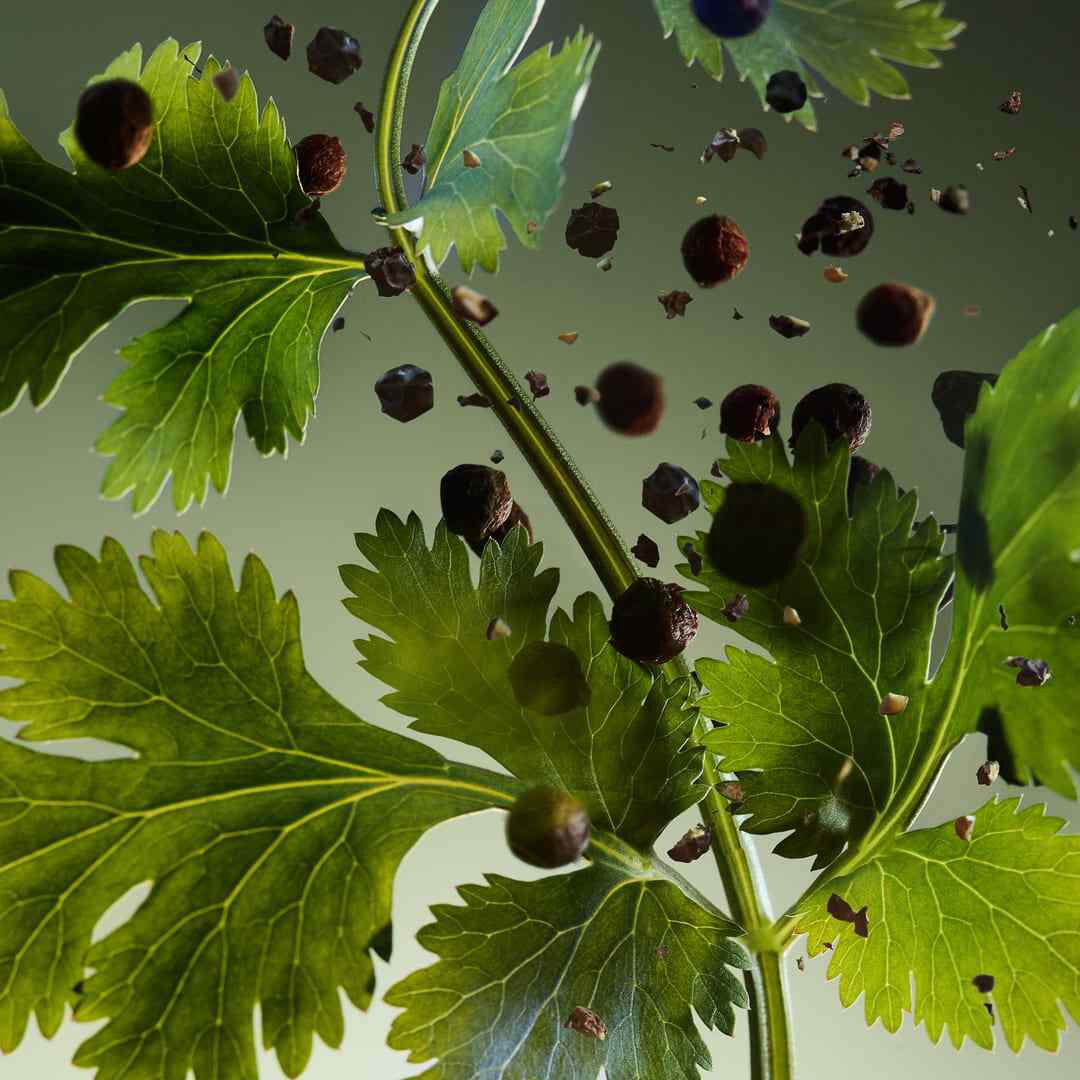 Wood Essence Parfum - BVLGARI - BVLGARI MAN - Imagem 10