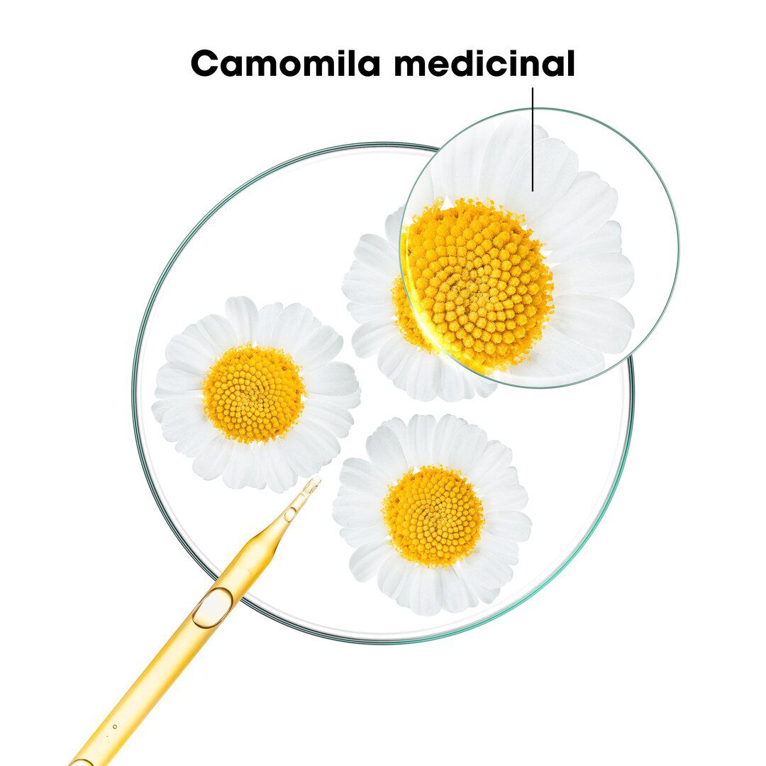 Champô Camomila - KLORANE -  - Imagem 5