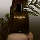 Parfum - BURBERRY - Burberry Hero - Imagem 4