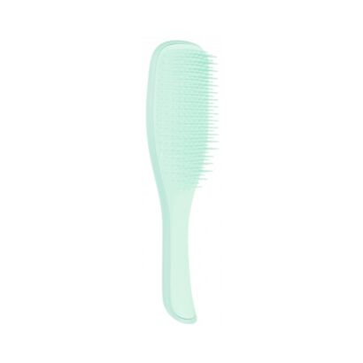 Detangler Fine & Fragile (Mint) - Tangle Teezer -  - Imagem