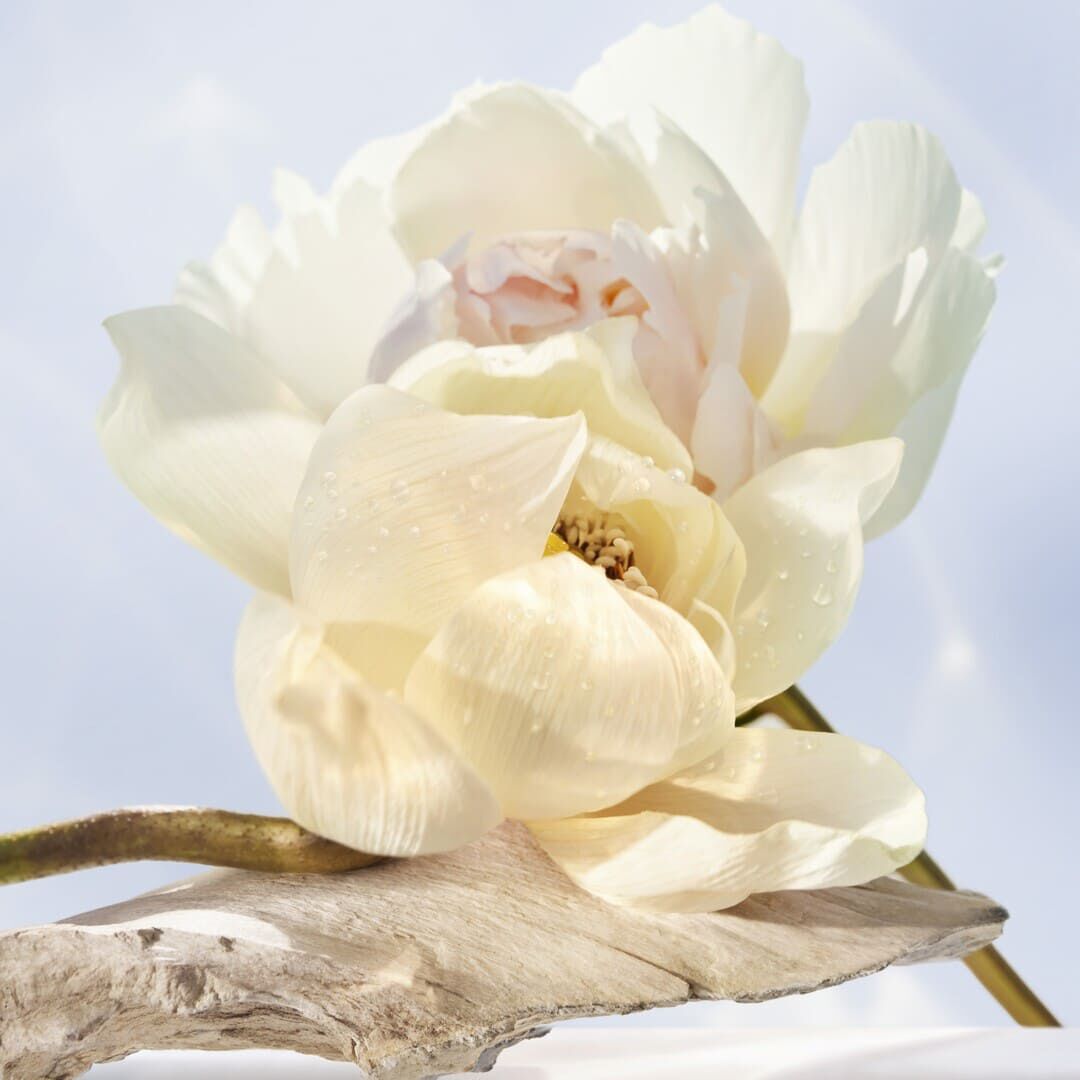 Crystalline Eau de Toilette - BVLGARI - OMNIA - Imagem 3