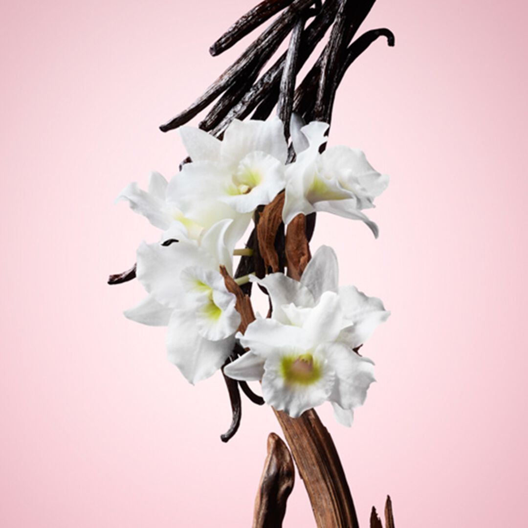 Eau de Parfum - VIKTOR & ROLF - FLOWER BOMB - Imagem 5