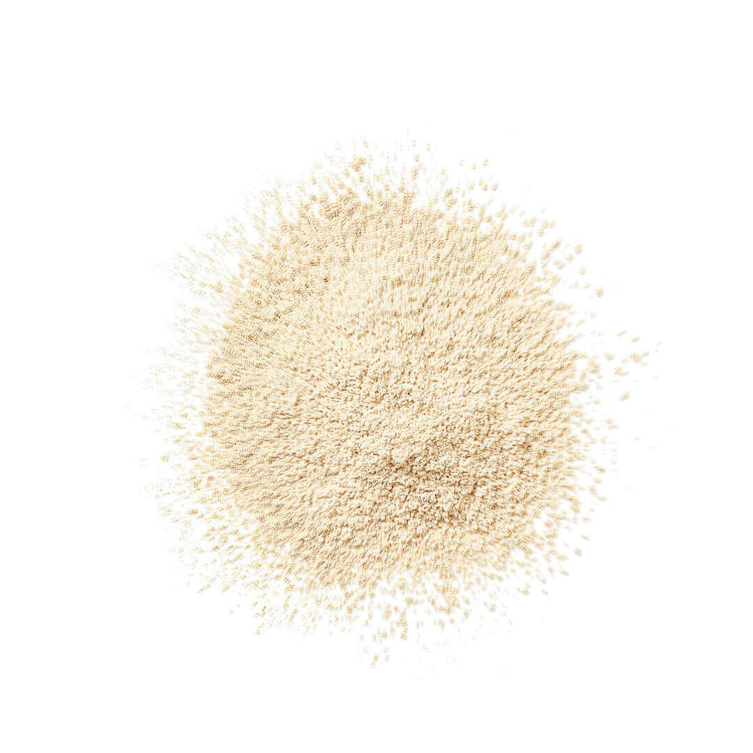 Pó Solto - CLINIQUE - Blended Face Powder - Imagem 9
