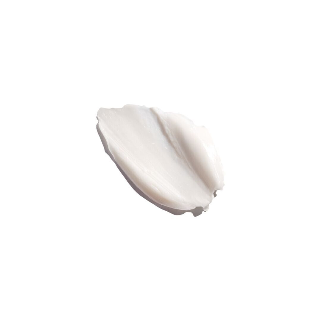 Ginseng Power - ERBORIAN - Boost - Imagem 3