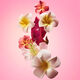 Elasti-Body Oil - Óleo Para o corpo - Sol de Janeiro - Beja Flor - Imagem 7