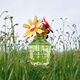 Eau de Parfum - MARC JACOBS - WILD EAU SO INTENSE - Imagem 2