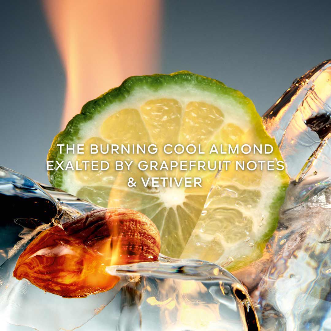 Cologne Forte - Eau de Parfum - GUERLAIN - L'HOMME ID&Eacute;AL - Imagem 5