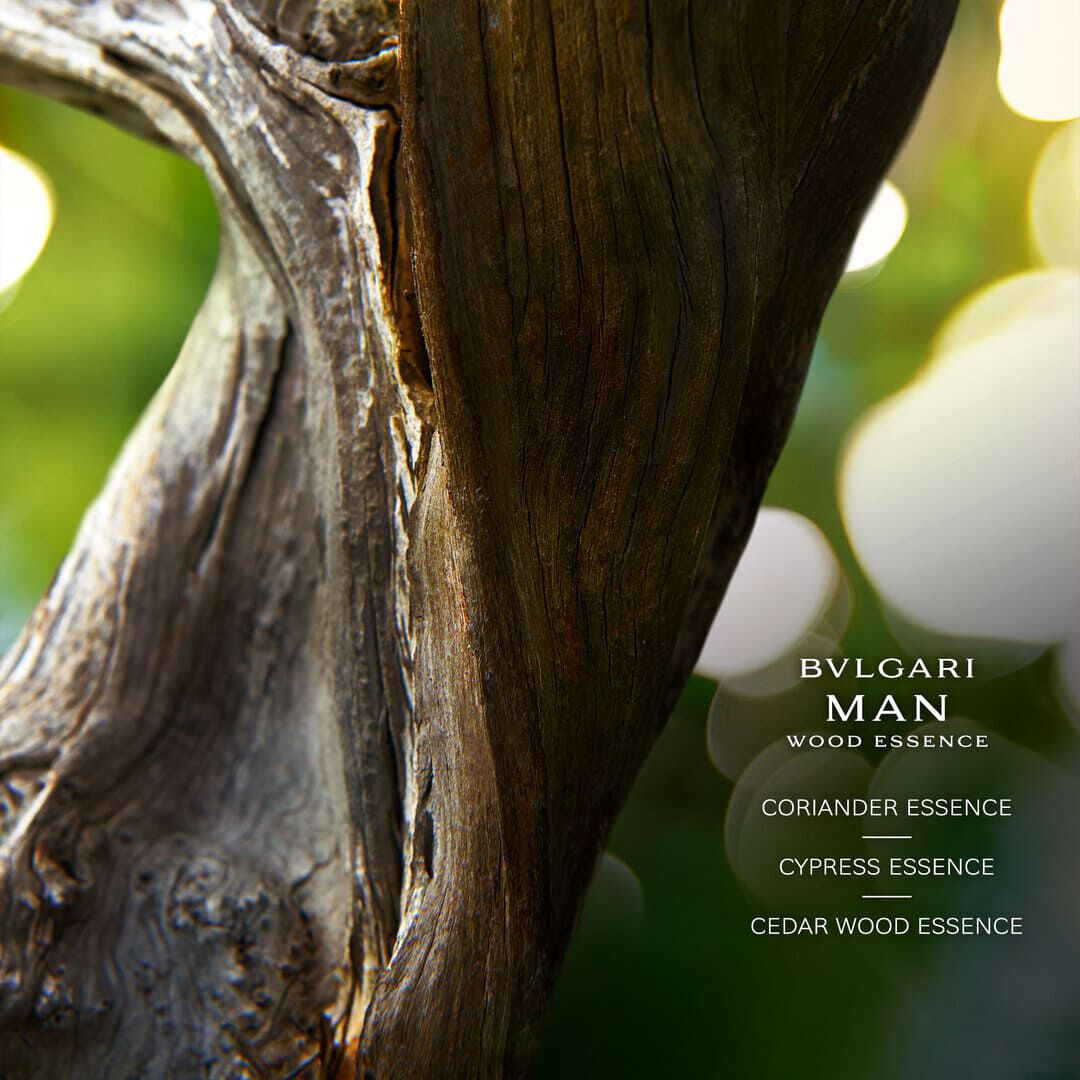 Wood Essence Eau de Parfum (Recarregável) - BVLGARI - BVLGARI MAN - Imagem 3