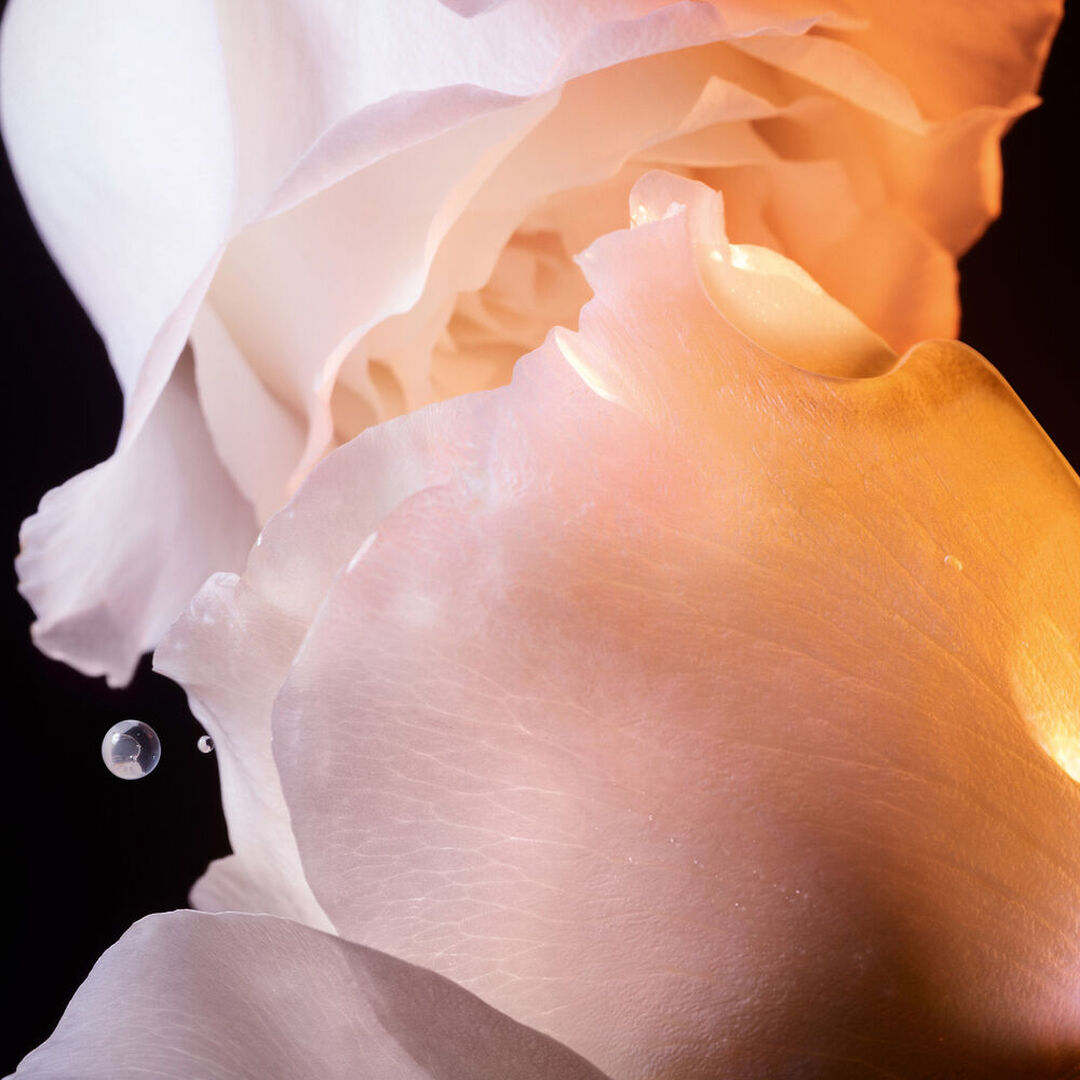 La Lotion Essence de Rose - Dior - Dior Prestige - Imagem 2