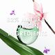 Eau de Parfum Essentielle - ISSEY MIYAKE - DROP D'ISSEY - Imagem 5