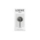 Eau de Parfum - LOEWE - LOEWE SOLO VULCAN - Imagem 7