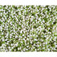Cream SPF30 - KIEHL'S - Super Multi-Corrective - Imagem 2