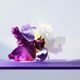 Amethyste Eau de Toilette - BVLGARI - OMNIA - Imagem 2