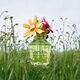 Eau de Parfum - MARC JACOBS - WILD EAU SO INTENSE - Imagem 4