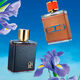 CH Men Pasión Eau de Parfum - CAROLINA HERRERA - CH MEN - Imagem 7