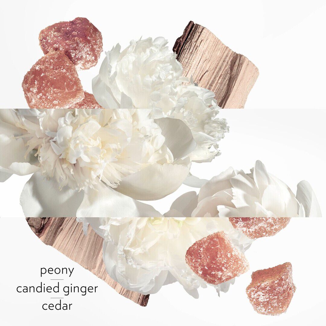 Twilly Ginger Eau de Parfum - Hermès - Twilly d'Hermès - Imagem 4
