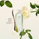 Poudre Matcha - KENZO - LA COLLECTION KENZO MEMORI - Imagem 3