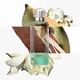 Un Jardin Sur Le Nil Eau de Toilette - Hermès - COLEÇÃO PARFUMS-JARDINS - Imagem 2