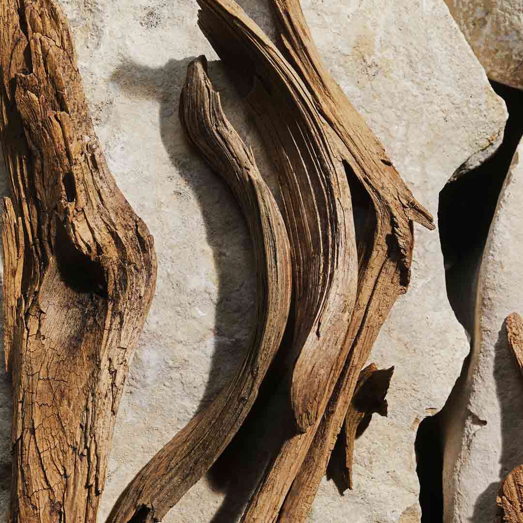 Eau de Toilette - Dolce&Gabbana - LIGHT BLUE - Imagem 4