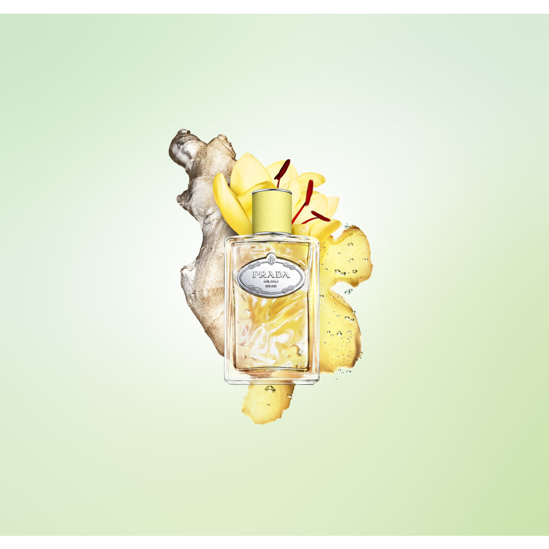 Gingembre - PRADA - Les Infusions - Imagem 4