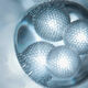 4th Generation  Essence - LANCASTER - 365 Skin Repair - Imagem 3
