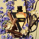 Yellow Dream Eau de Toilette - Valentino - BORN IN ROMA UOMO - Imagem 13