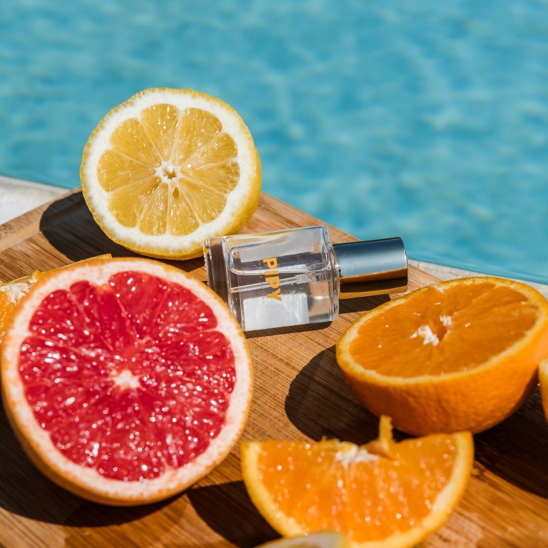 Pipy Summer - Gira -  - Imagem 7