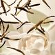The Ritual of Karma Hand Wash - Rituals - Karma - Imagem 4