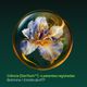 Triphasic Ampolas Queda Progressiva 8 doses - RENE FURTERER -  - Imagem 2
