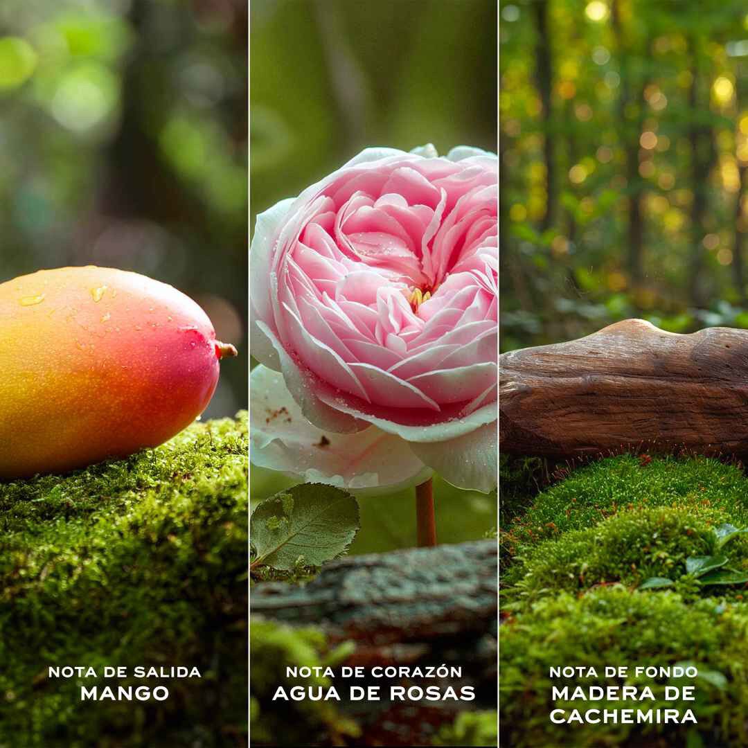 DAISY Extra Fresh - MARC JACOBS - Daisy Eau So Extra Fresh - Imagem 3