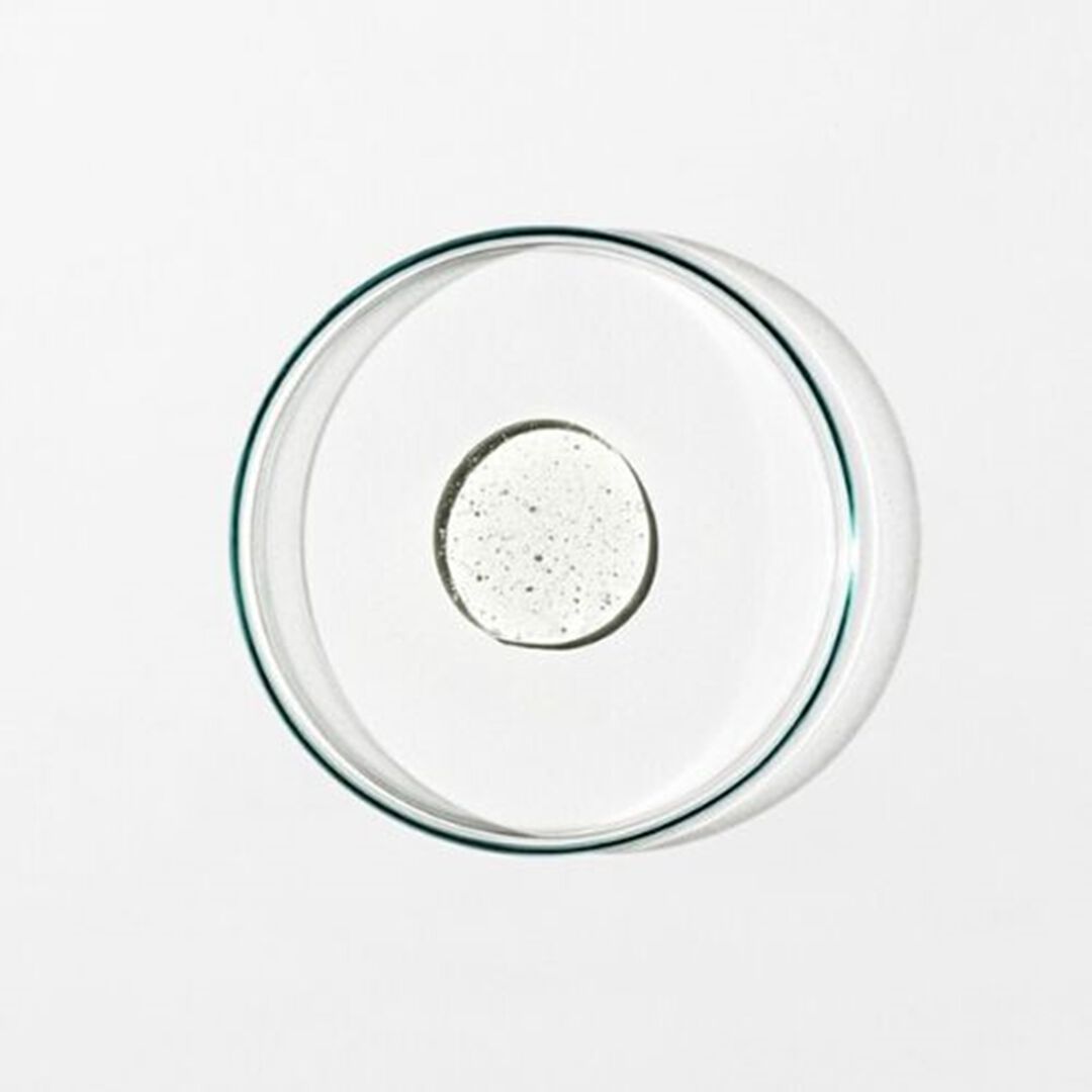 Detox - Shampoo 0.1: Hydrolyzed Silk Protein, Lycopene, Sage - GROWN ALCHEMIST -  - Imagem 3