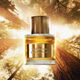 Eau de Parfum - TOM FORD - BOIS PACIFIQUE - Imagem 2