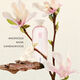 Ciel Magnolia - KENZO - LA COLLECTION KENZO MEMORI - Imagem 3