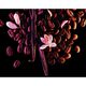 Eau de Parfum - Yves Saint Laurent - Black Opium - Imagem 4